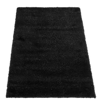 Black Shag