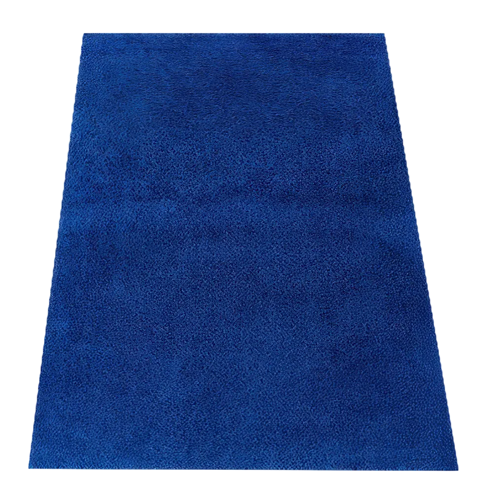 Blue Shag Rug
