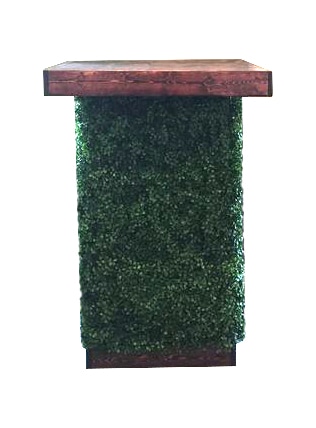 Boxwood