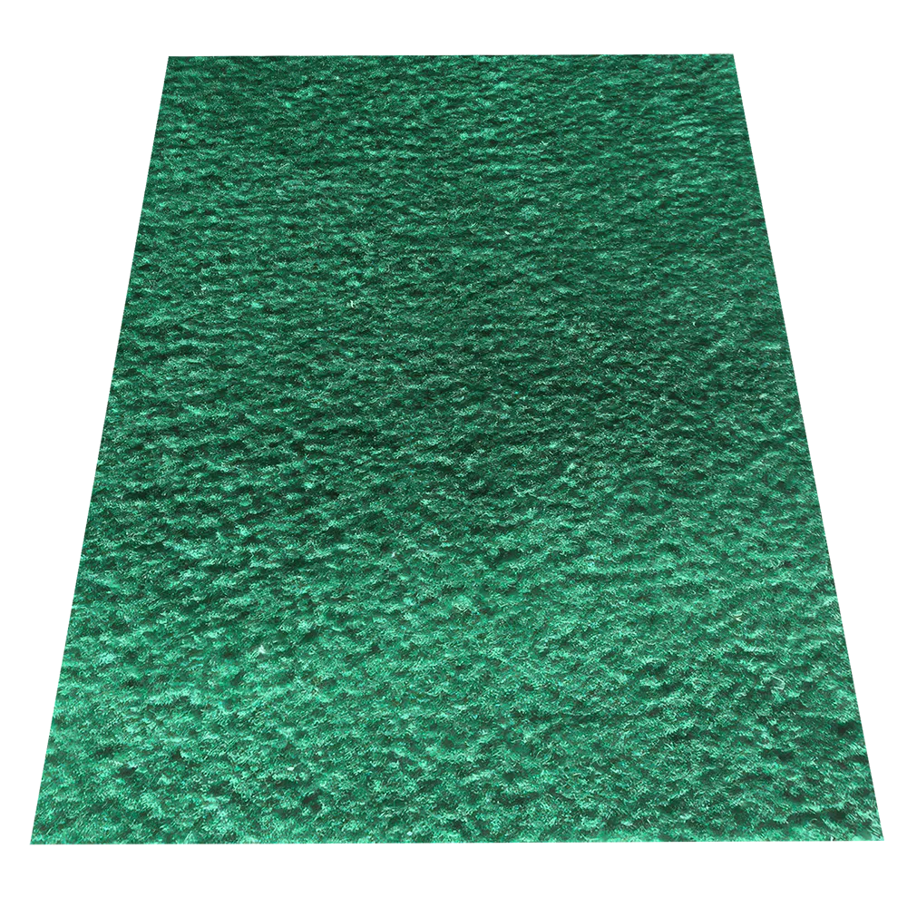 Green Rug