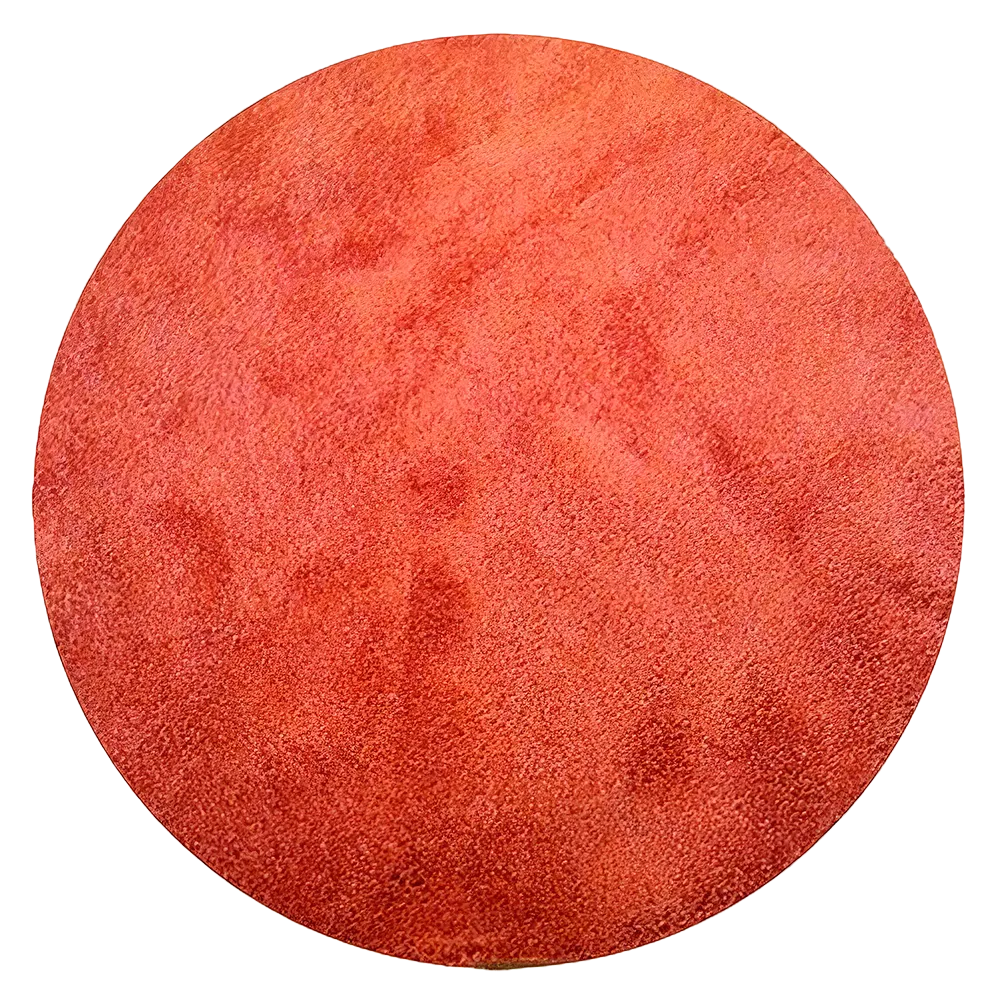 Orange Shag Rug