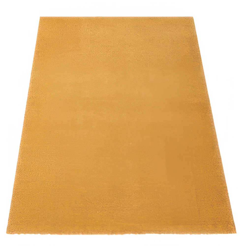 Burnt Orange Rug